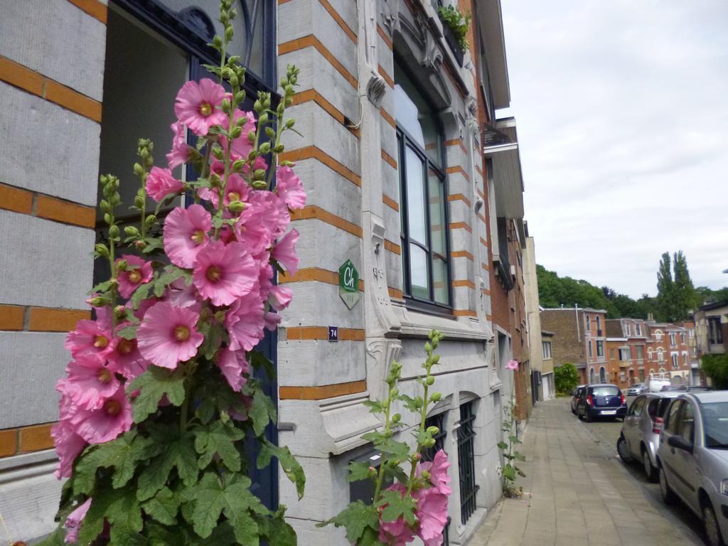 B&B Matin Tranquille Liège Eksteriør bilde